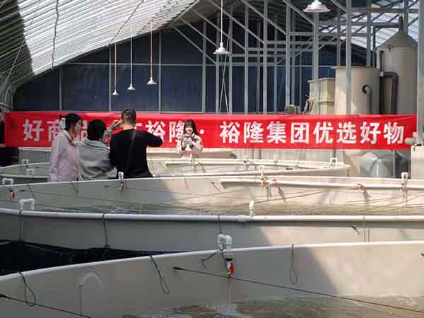 养鱼大棚